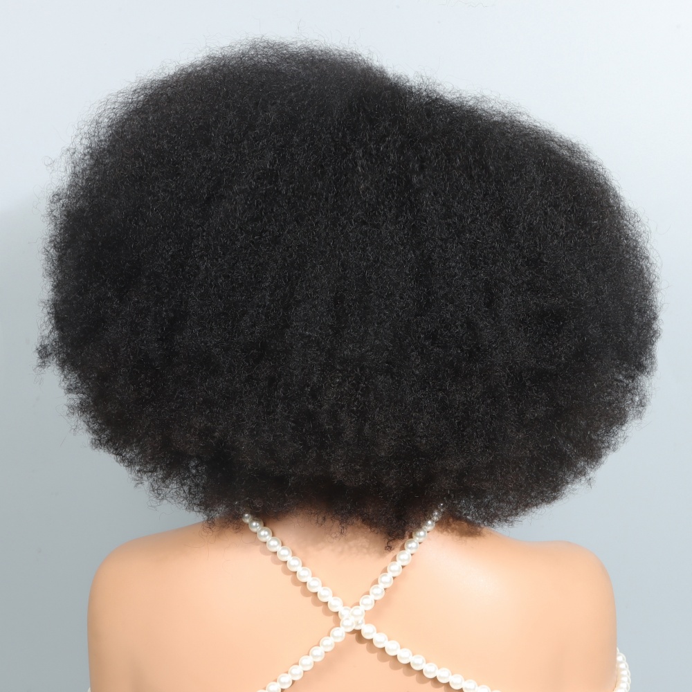 14인치 아프로 가발 (흑인 여성용) 곱슬머리 레이스  - Glueless Wear And Go Human Hair Wig 리뷰 및 가격
